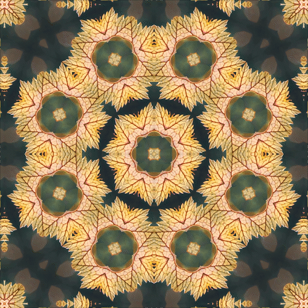 Project image 4